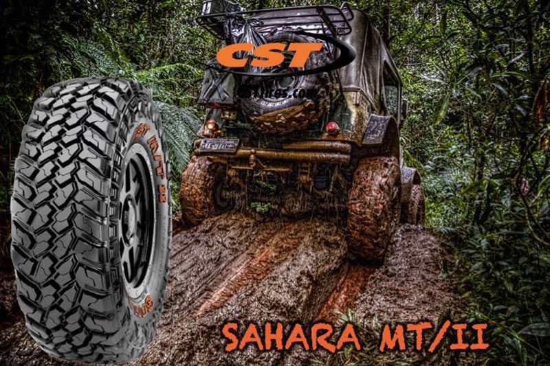 sahara_mtii_3.jpg